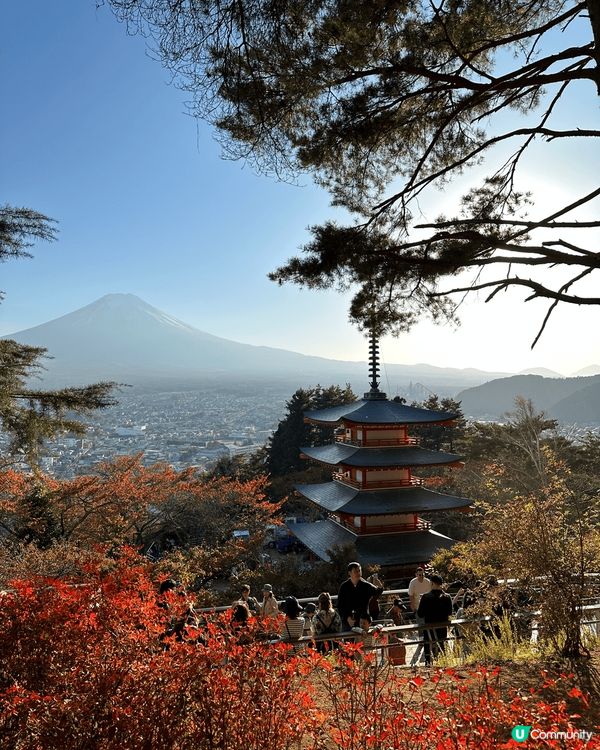 富士山打卡之旅，去河口湖，大石公園，天空之鳥居，吉田本町商店...