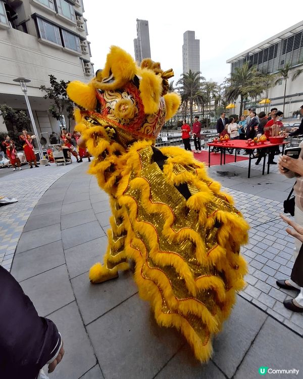 新年期間點少得醒獅表演，不論在商場，在屋苑都有得欣賞。#Ch...