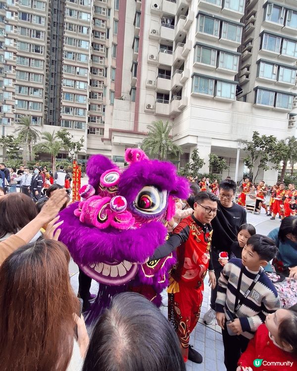 新年期間點少得醒獅表演，不論在商場，在屋苑都有得欣賞。#Ch...