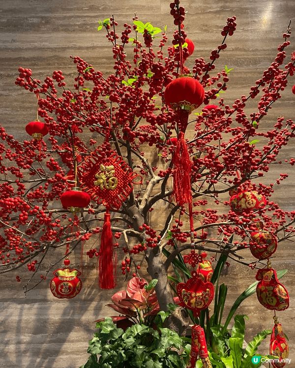 白天鵝賓館環境優雅，設施齊全，服務細緻周到。客房舒適，提供美...