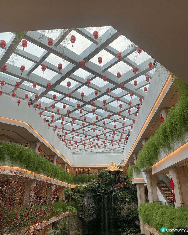 白天鵝賓館環境優雅，設施齊全，服務細緻周到。客房舒適，提供美...