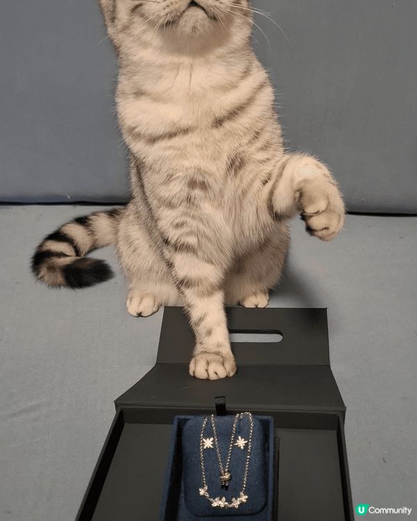 #打卡熱點：家中