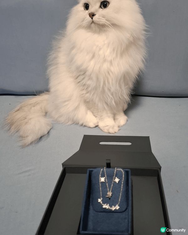 #打卡熱點：家中