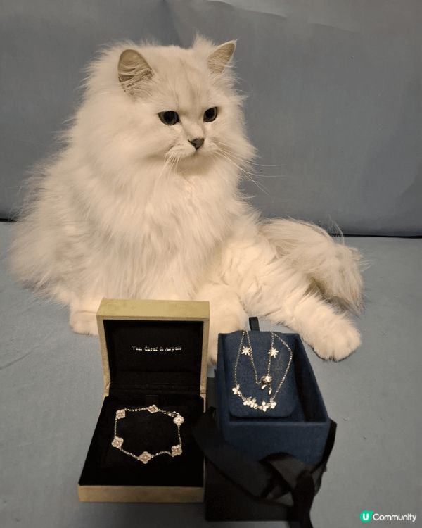 #打卡熱點：家中