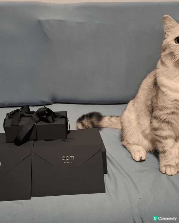 #打卡熱點：家中