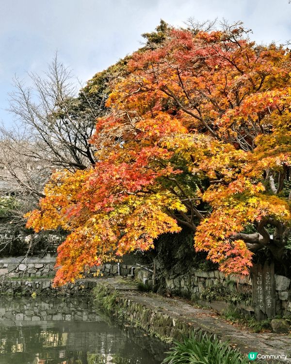 京都楓味 古色古香