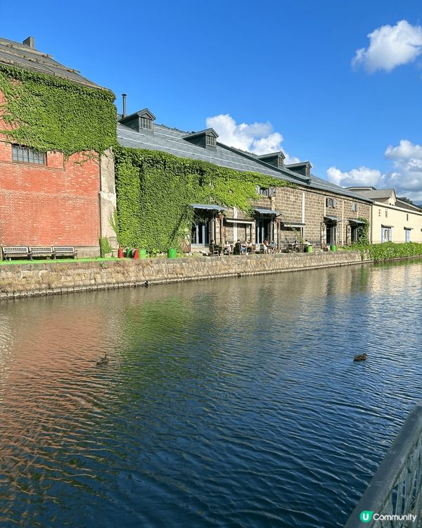 北海道小樽運河，有珠山火山🌋口，小𡷊寫意，藍天白雲，一望無際...