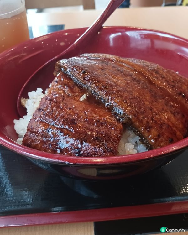 Sukiya特大鰻魚飯😋😋