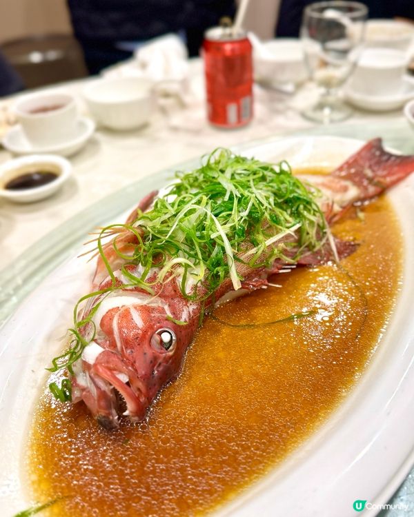 [鯉魚門］豐富海鮮大餐🐠🐟🦞🦀🦐