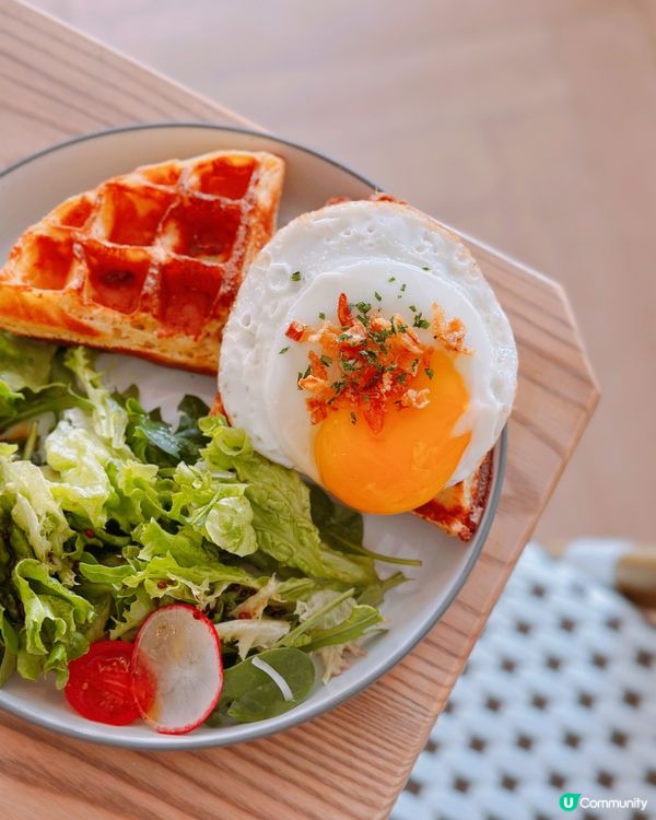 朱古力控必去‼️西環打卡小清新精品朱古力Cafe