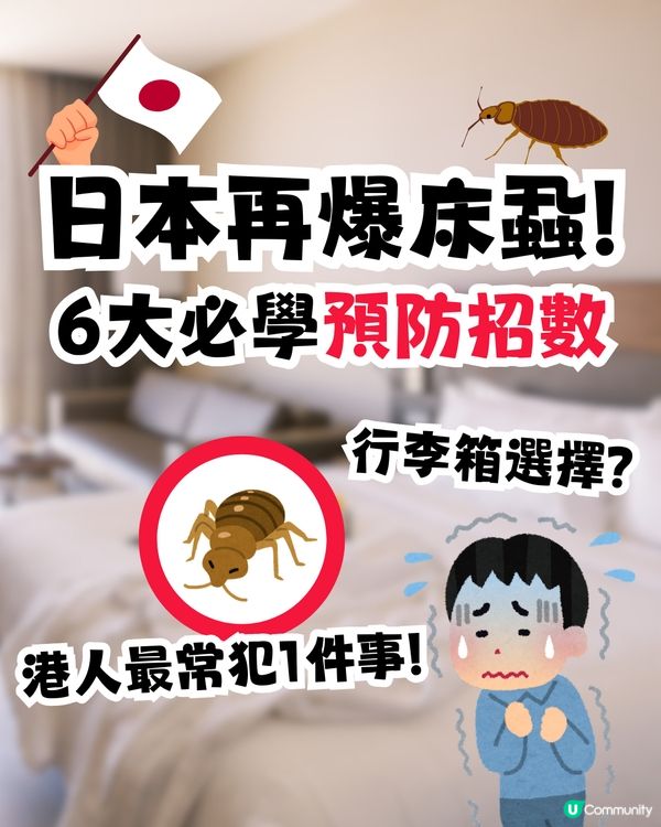 日本再爆床蝨風波😨🇯🇵外遊6大預防床蝨招數！行李箱選擇秘訣/香港人最常犯1件事🙊㊙️⁉️ 