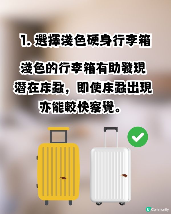 日本再爆床蝨風波😨🇯🇵外遊6大預防床蝨招數！行李箱選擇秘訣/香港人最常犯1件事🙊㊙️⁉️ 