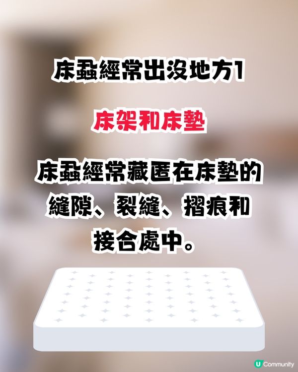 日本再爆床蝨風波😨🇯🇵外遊6大預防床蝨招數！行李箱選擇秘訣/香港人最常犯1件事🙊㊙️⁉️ 