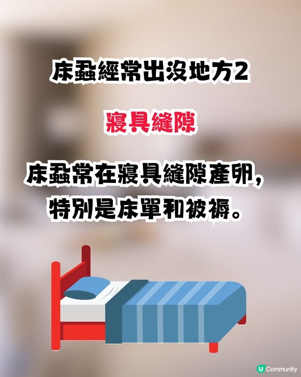 日本再爆床蝨風波😨🇯🇵外遊6大預防床蝨招數！行李箱選擇秘訣/香港人最常犯1件事🙊㊙️⁉️ 