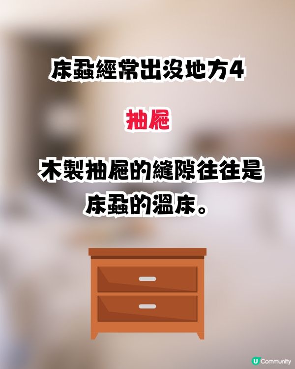 日本再爆床蝨風波😨🇯🇵外遊6大預防床蝨招數！行李箱選擇秘訣/香港人最常犯1件事🙊㊙️⁉️ 