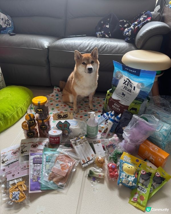 寵物展戰利品～