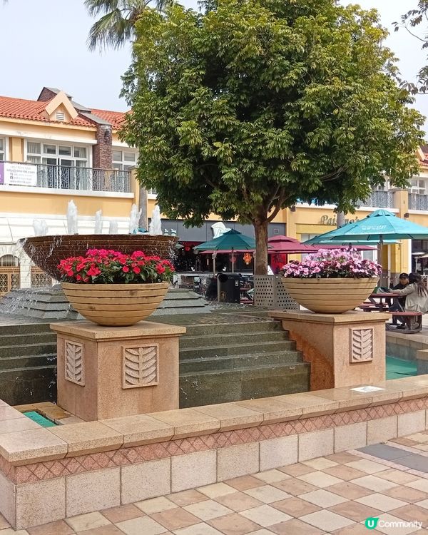 歐洲風情唔使飛✈️，愉景灣等你！🤩