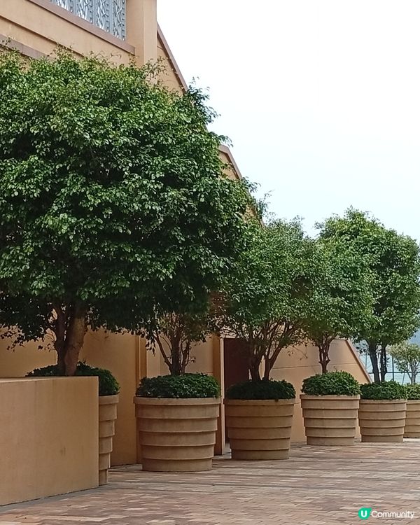 歐洲風情唔使飛✈️，愉景灣等你！🤩