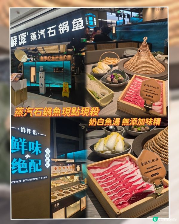 鮮潭蒸汽石鍋魚