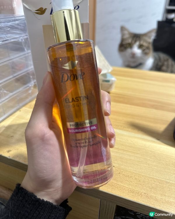 頭髮乾到爆💥  救星出現啦！🤩