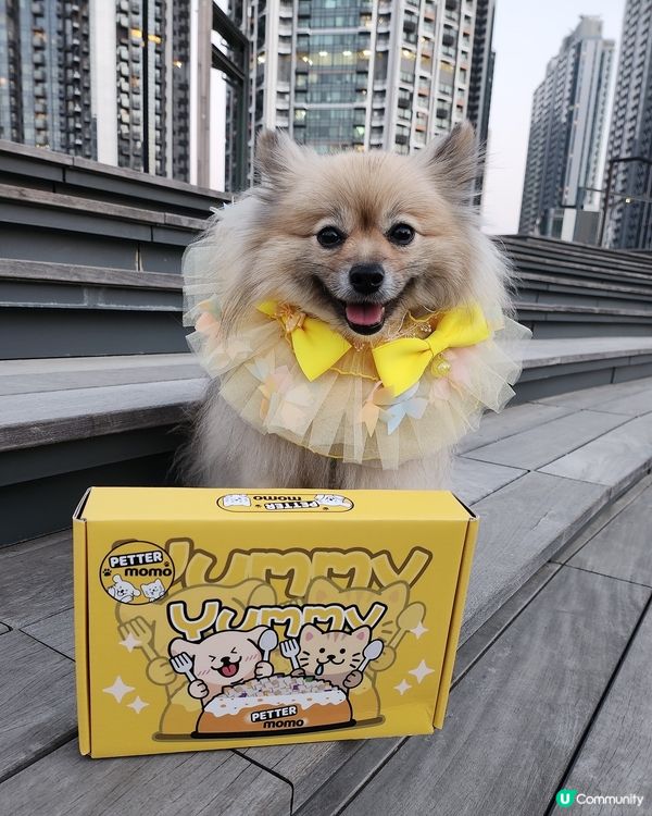 原型食品凍乾餐