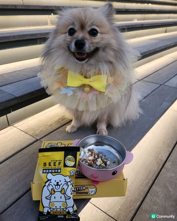 原型食品凍乾餐