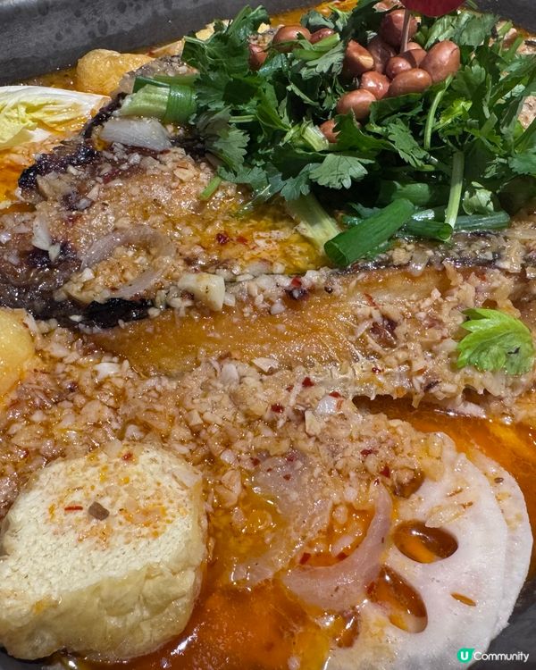 銅鑼灣必食烤魚 🔥  
#烤魚 #銅鑼灣美食 #香港美食