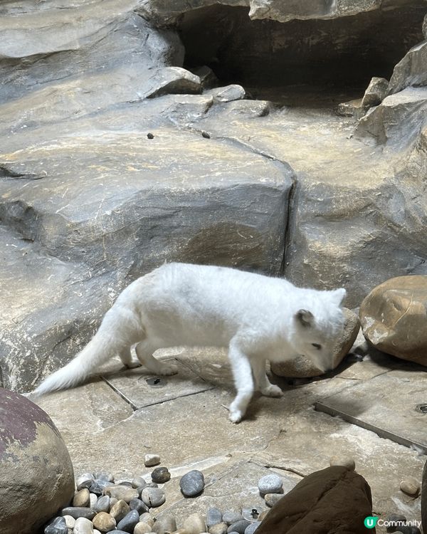 #人人生日快樂 🎂🐼🎁