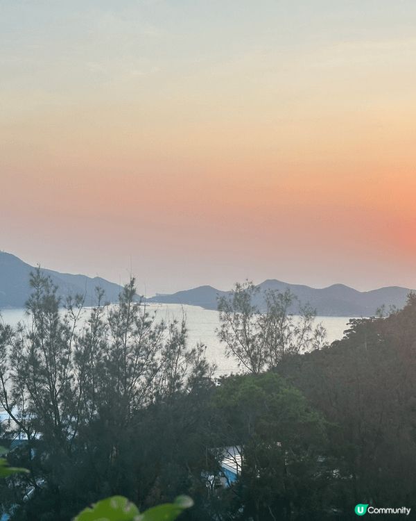 #人人生日快樂 🎂🐼🎁