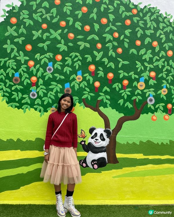 大家今年去咗大埔林村許願樹許願未？