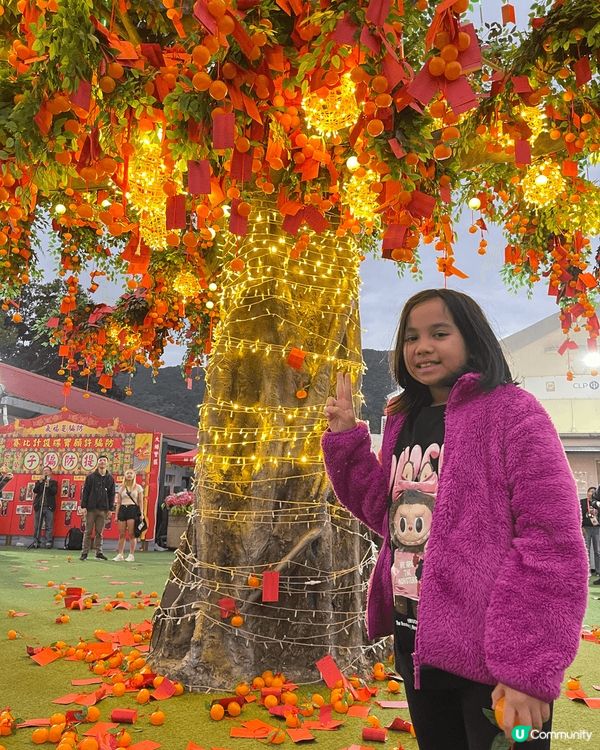 大家今年去咗大埔林村許願樹許願未？