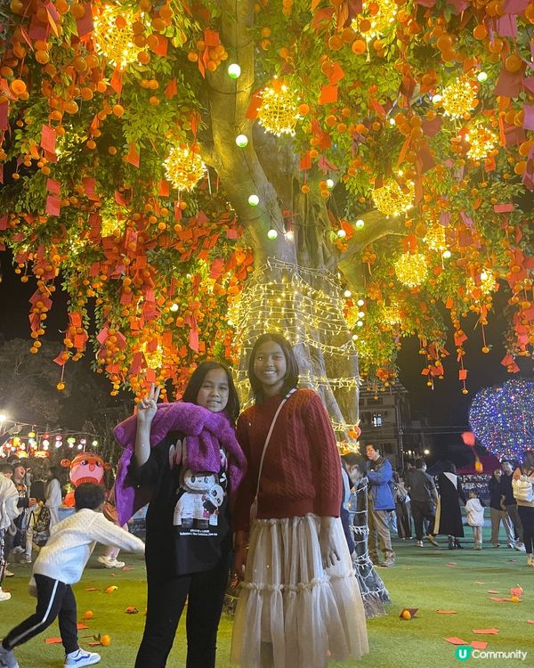 大家今年去咗大埔林村許願樹許願未？