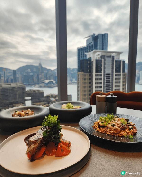 喺尖沙咀既Avoca，