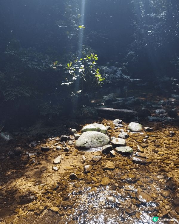 海南的長桌宴，以最簡樸的食材締造出美味，海南的風景和文化真是...