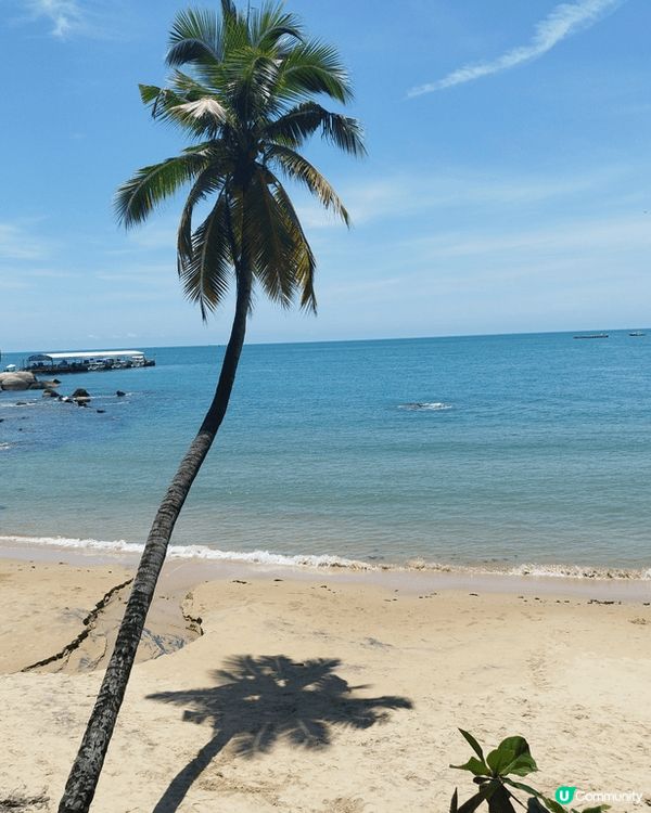 海南的長桌宴，以最簡樸的食材締造出美味，海南的風景和文化真是...