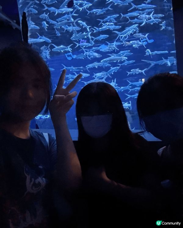 人生就是一次不回頭的旅程，擁抱希望、愛和留意人邊的美事，處處...