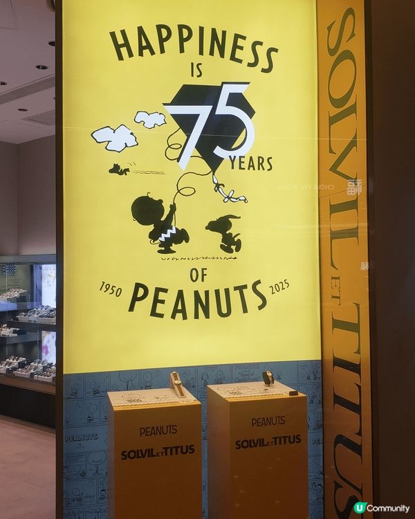 以上相片都是荃灣區慶祝生日的打卡熱點,可以作為禮物的建議