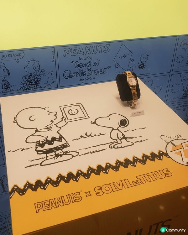 以上相片都是荃灣區慶祝生日的打卡熱點,可以作為禮物的建議