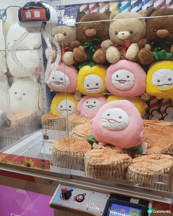 以上相片都是荃灣區慶祝生日的打卡熱點,可以作為禮物的建議