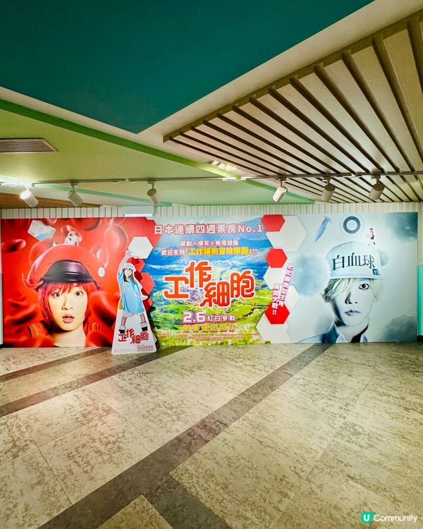 💩 《 工作細胞 》認真製作,正正經經