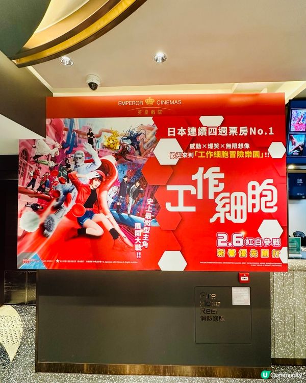 💩 《 工作細胞 》認真製作,正正經經