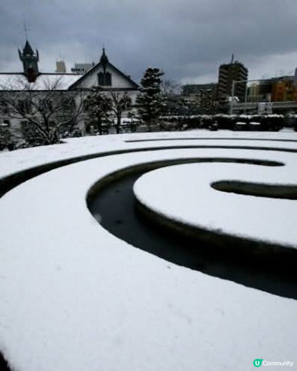 白山公園❄️🍭 冬日雪景似棒棒糖