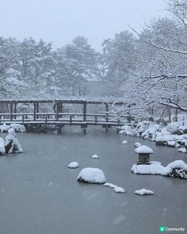 白山公園❄️🍭 冬日雪景似棒棒糖