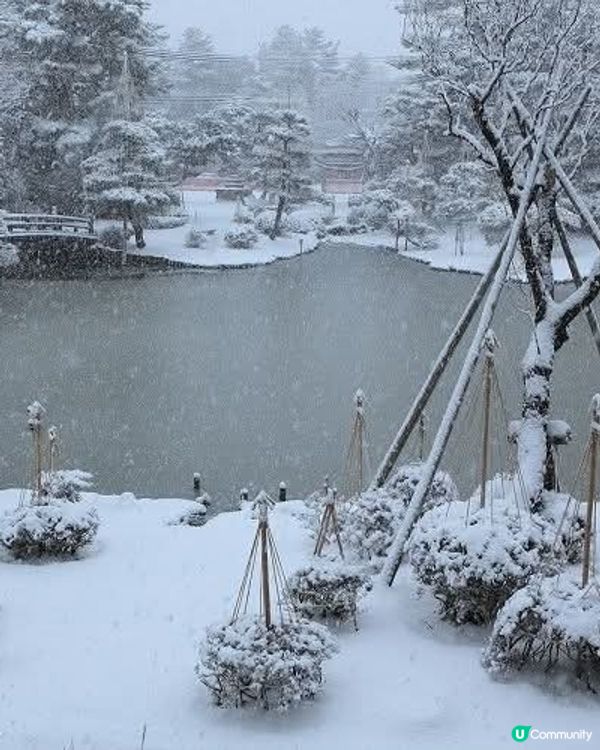 白山公園❄️🍭 冬日雪景似棒棒糖