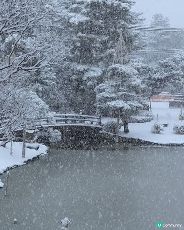 白山公園❄️🍭 冬日雪景似棒棒糖