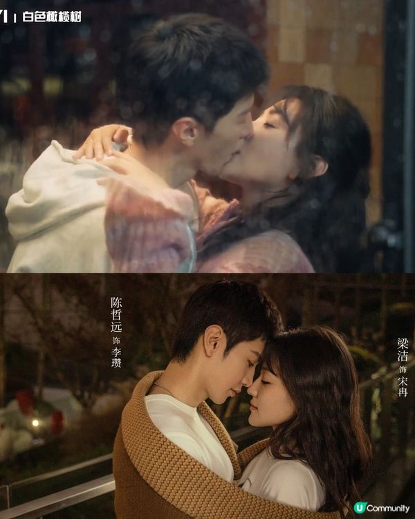 白色橄欖樹結局雙雙化蝶被批太誇張！陸版《太陽的後裔》令人失望！