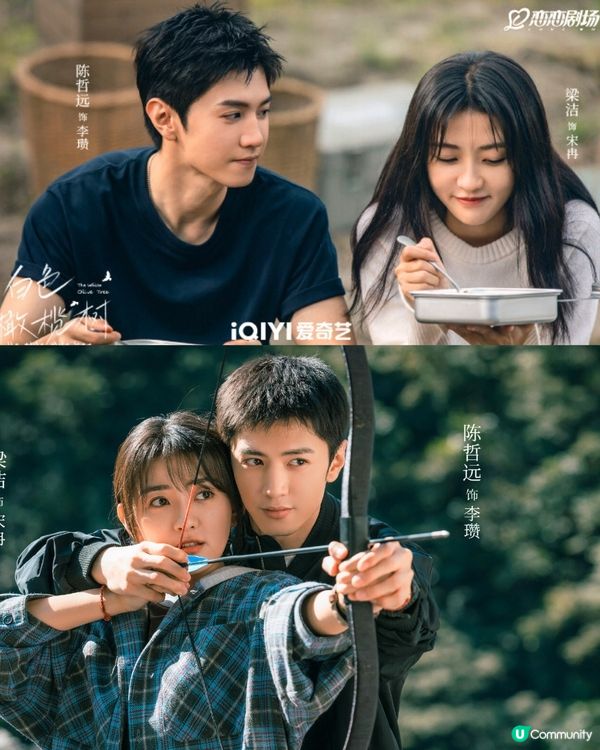 白色橄欖樹結局雙雙化蝶被批太誇張！陸版《太陽的後裔》令人失望！