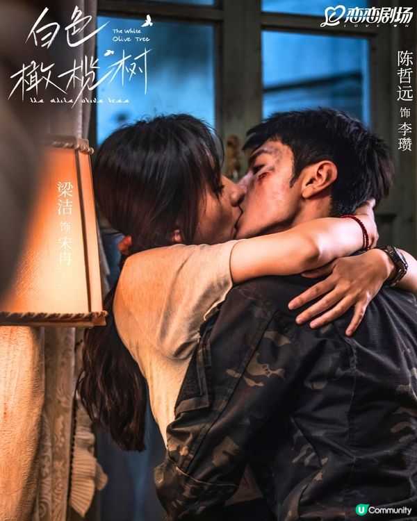 白色橄欖樹結局雙雙化蝶被批太誇張！陸版《太陽的後裔》令人失望！