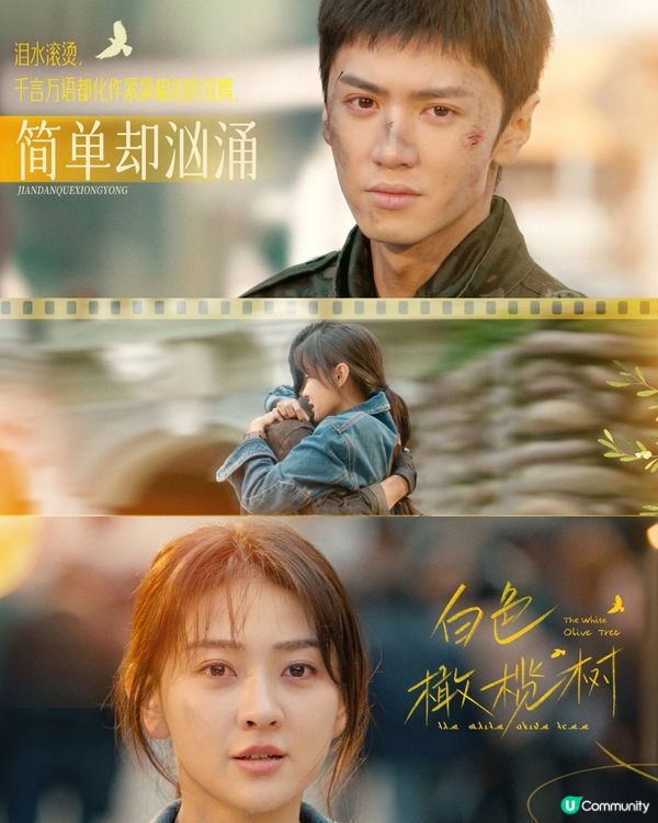 白色橄欖樹結局雙雙化蝶被批太誇張！陸版《太陽的後裔》令人失望！