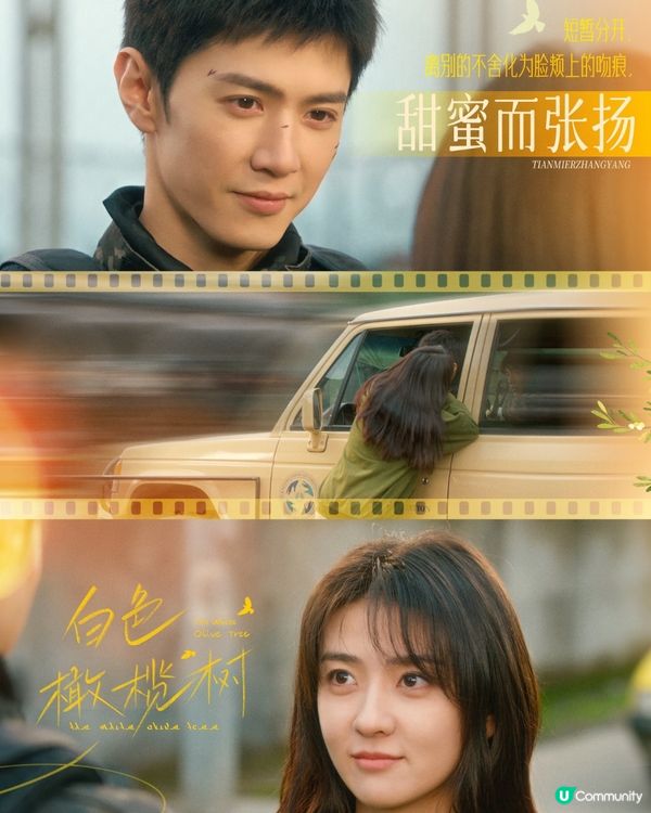 白色橄欖樹結局雙雙化蝶被批太誇張！陸版《太陽的後裔》令人失望！